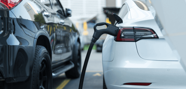 Image shows electric vehicles being charged